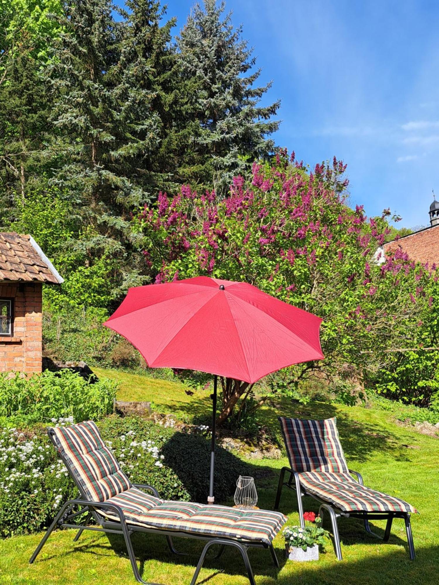 Haus Lieberum Apartment Erdgeschoss Bad Sooden-Allendorf Buitenkant foto