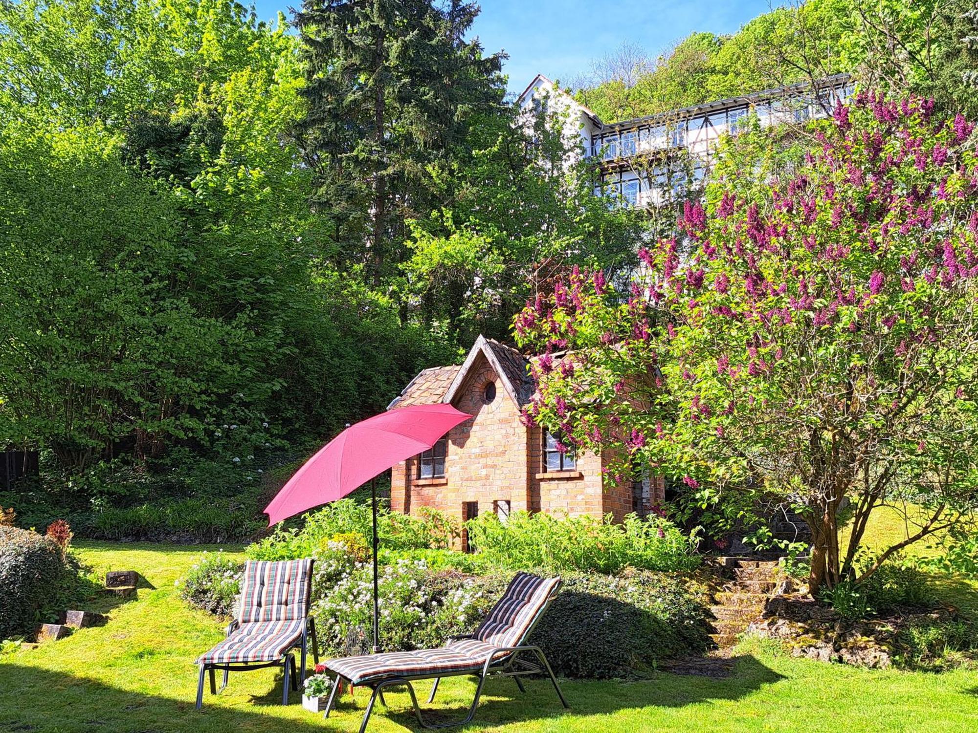 Haus Lieberum Apartment Erdgeschoss Bad Sooden-Allendorf Buitenkant foto